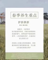 -YESIDO椰岛美容