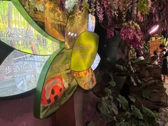 -正佳雨林生态植物园