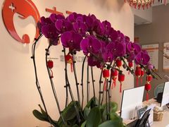 -土豆口腔(凤凰北总店)