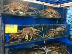 -蚝专家(北滘店)