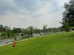 -白鹭湾湿地公园