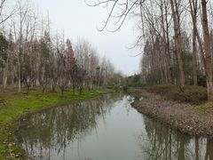 -合肥滨湖国家森林公园