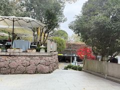 -龙井壹号·茶缘山景宴(龙井村店)