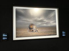 -罗红摄影艺术馆