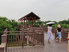 -海上田园