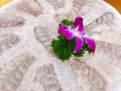 -官塘陈记鱼生·潮汕砂锅粥·牛肉火锅(潮枫路总店)