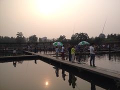 iphone_upload_pic-特种渔场