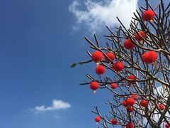 -侯臣咖啡文化村