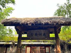 -洛阳白马寺
