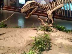 -自贡恐龙博物馆