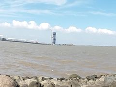 -吴淞炮台湾湿地森林公园烧烤区