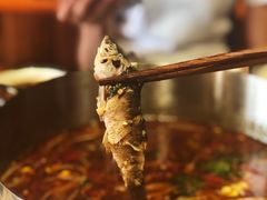 冷锅鱼-盛世盐帮·自贡特色(总店)