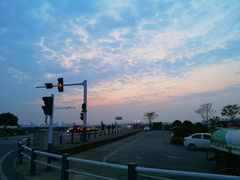 -合肥滨湖国家森林公园