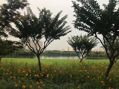 -黄兴公园