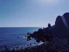 -涉地可支