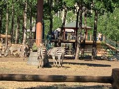 -大连森林动物园