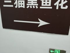 -三猫黑鱼花(南大店)