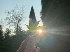 -济南南郊宾馆