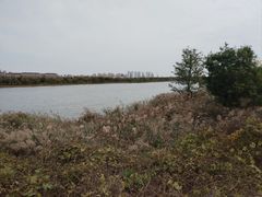 -天津东丽湖风景区