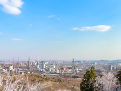-白水寺森林公园
