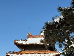 -北陵公园