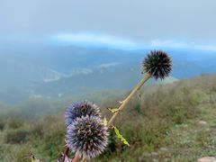 -白草畔自然风景区