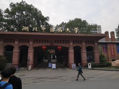 -湖北中医药大学(昙华林校区)