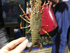 -量贩海鲜餐厅