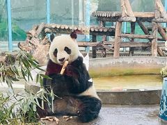 -天津市动物园