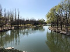 -大兴滨河森林公园