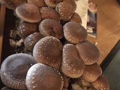 -大头椰·椰子鸡火锅(南宁万象城店)