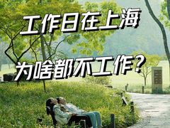 -上海共青森林公园