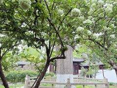 -常熟方塔园
