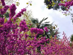 -西安理工大学(金花校区)