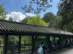 -中国大熊猫保护研究中心雅安碧峰峡基地