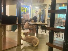 -苏州人民商场