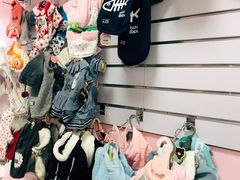 -唐小姐の猫狗洗护·购宠旗舰店(周浦万达店)