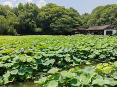 -兰亭风景区