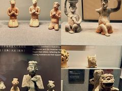 -广东中医药博物馆