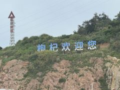 -枸杞岛
