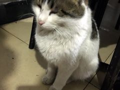-柳沟豆腐宴69号福豆堂