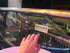 -飞扬影城(正佳IMAX店)