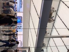-Apple零售店(成都太古里店)