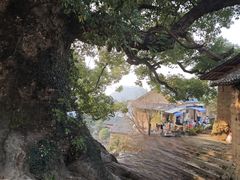 -杨家堂村