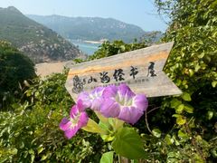 -东澳岛
