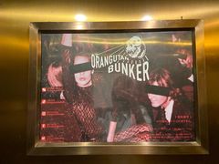 -Orangutan Bunker猩猩地堡酒吧(兰桂坊店)