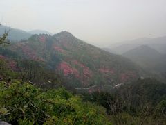 -木兰云雾山
