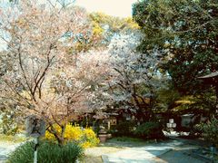 -京都御所