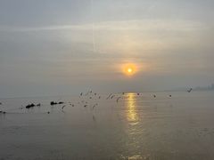 -黑石礁公园
