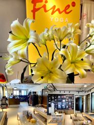 -FineYoga梵音瑜伽·普拉提
